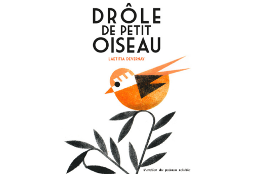 drôle de petit oiseau couverture du livre : oiseau orange perché sur une branche noir, sur un fond uni blanc