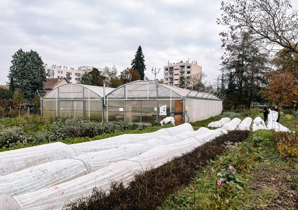 Photo des serres et jardins de la ferme Mille Pousses